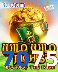 7075