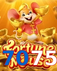 7075