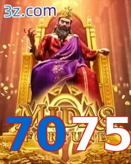 7075